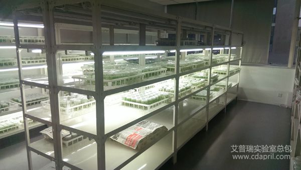 成都市三禾田生物技术有限公司pg电子官方网站建设