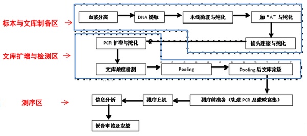 基因pg电子官方网站平面布局工作流程（ychmpw.com）