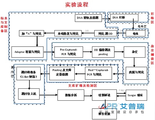 遗传病诊断+肿瘤诊断与治疗技术流程（ychmpw.com）