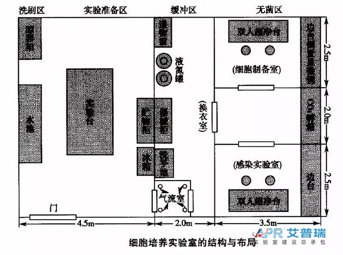 细胞培养pg电子官方网站的机构与布局