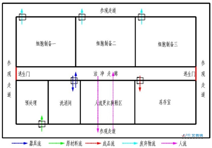 干细胞pg电子官方网站布局怎么设计？